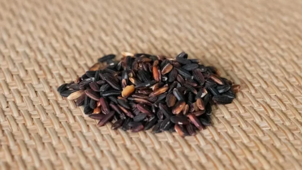 Black Glutinous Rice