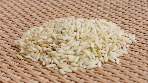 Brown Glutinous Rice