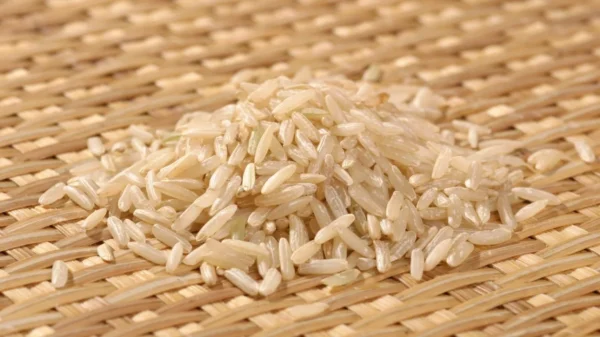 Brown Pathumthani Rice