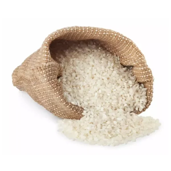 JAPONICA RICE (SUSHI RICE) - Image 4